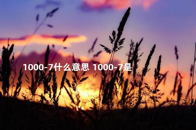 1000-7什么意思 1000-7是梗吗